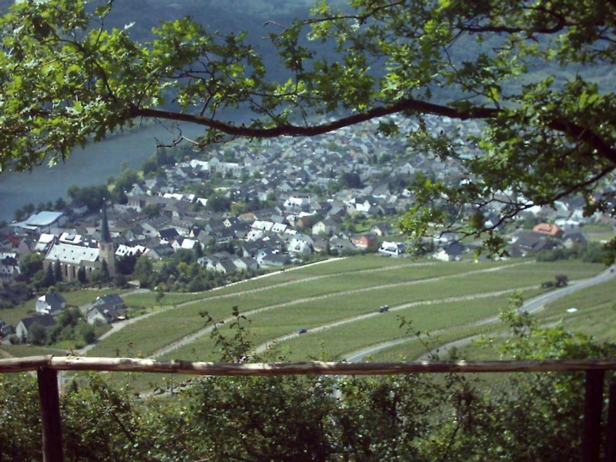 Gaestehaus Steuer Kröv المظهر الخارجي الصورة
