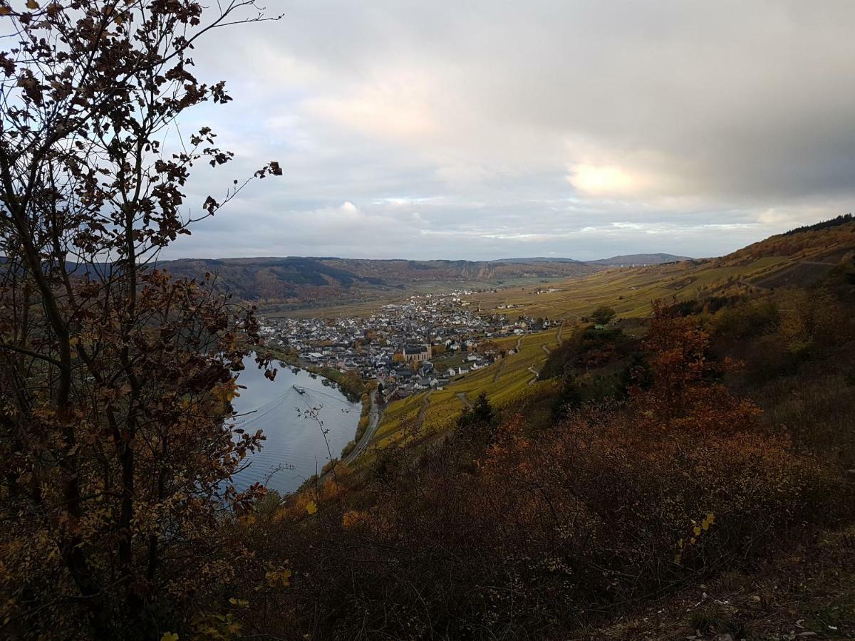 Gaestehaus Steuer Kröv المظهر الخارجي الصورة